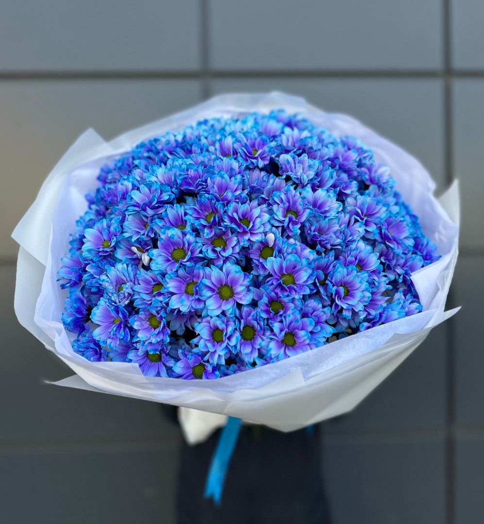 251 синяя ромашка