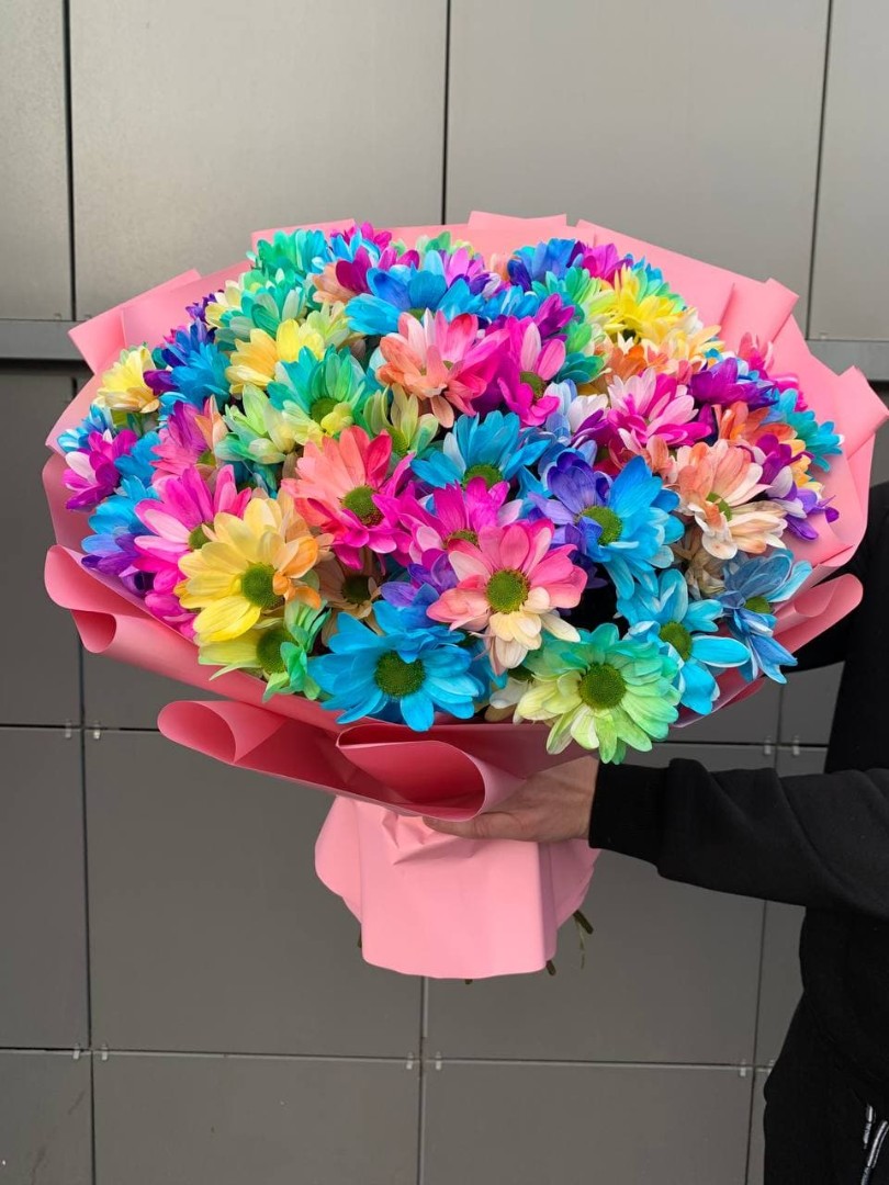 201 радужная ромашка