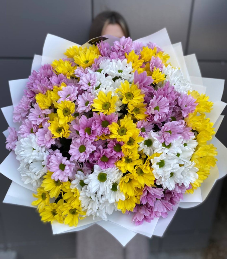 251 микс ромашка