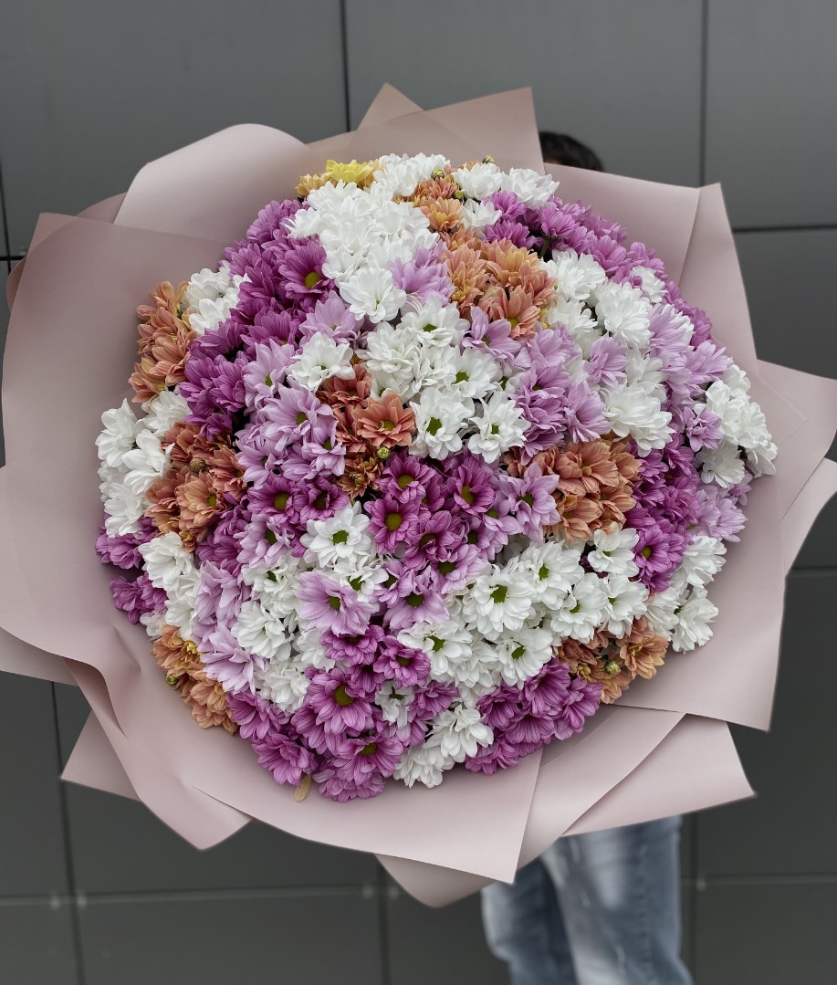 501 микс ромашка