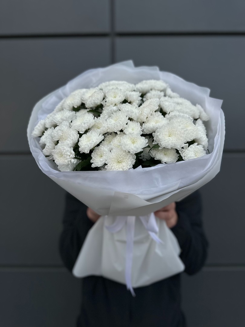 11 веток Хризантем Алтай